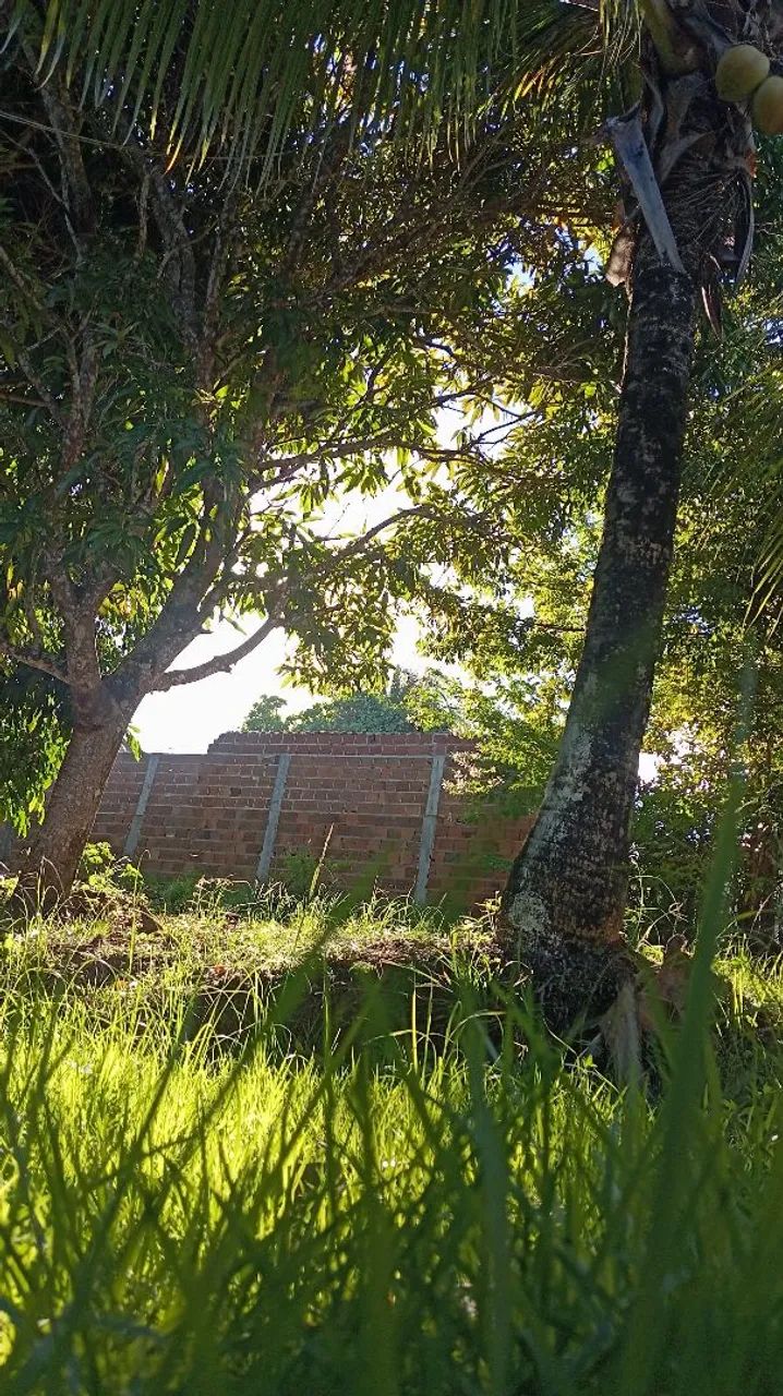 Sítio em BARRA DO JACUÍPE - Foto 4