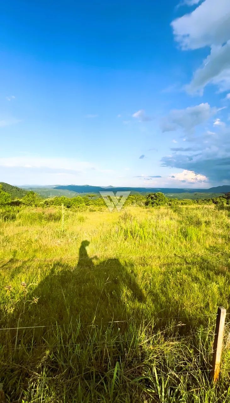 Terreno São Luiz do Purunã - Foto 5