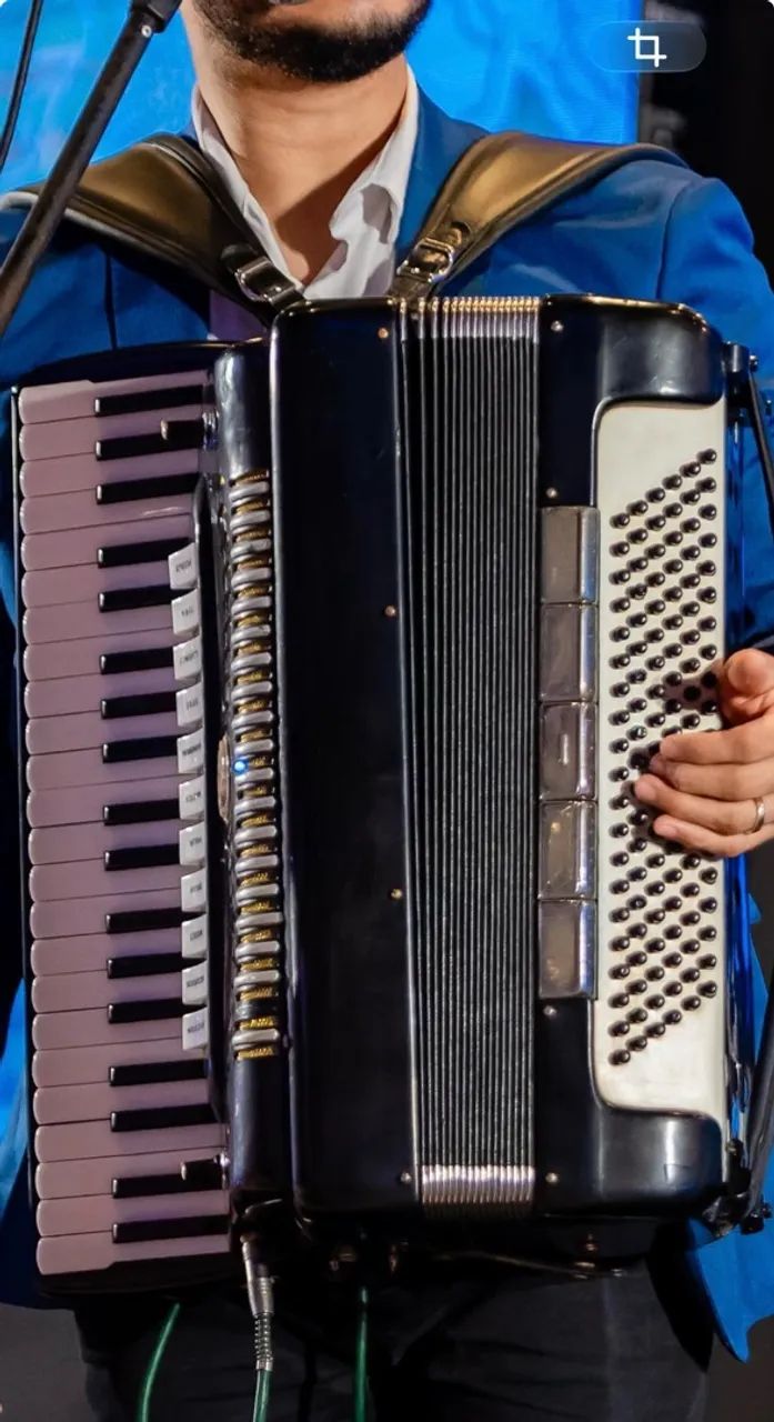 Sanfona/Acordeon - Foto 3