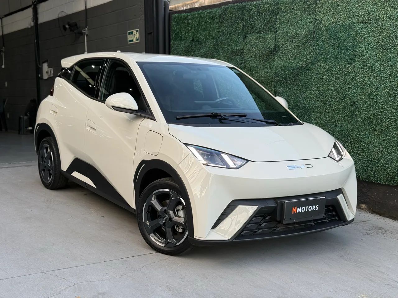 BYD Dolphin Mini (Elétrico) 2025