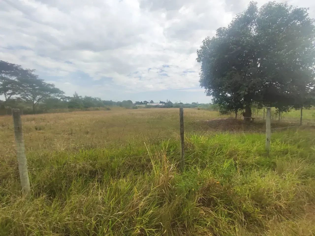 Chacara em Quissama com 5800 m2 - Foto 4