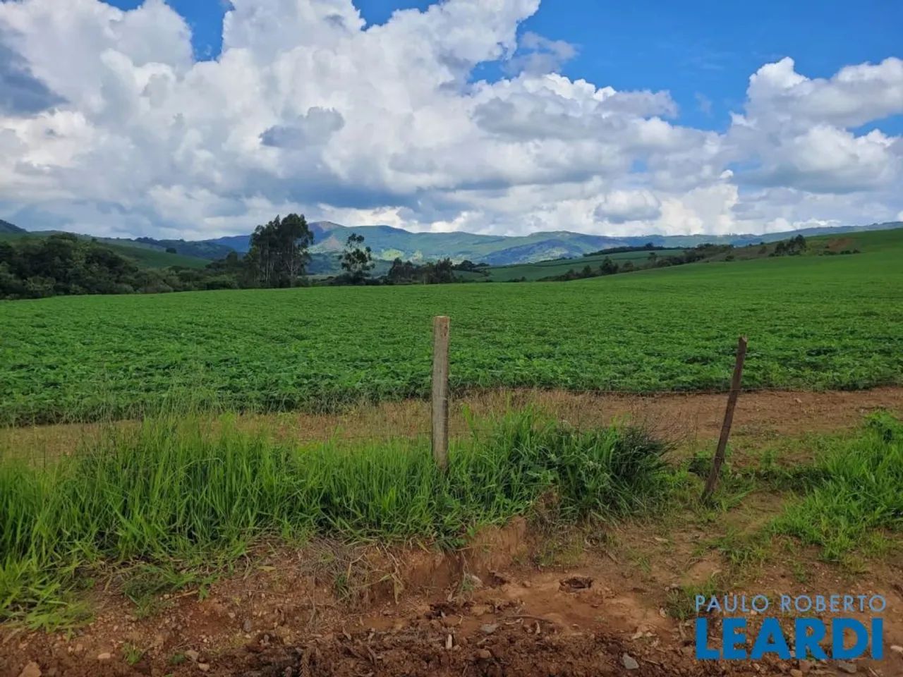 FAZENDA - CENTRO - MG - Foto 4