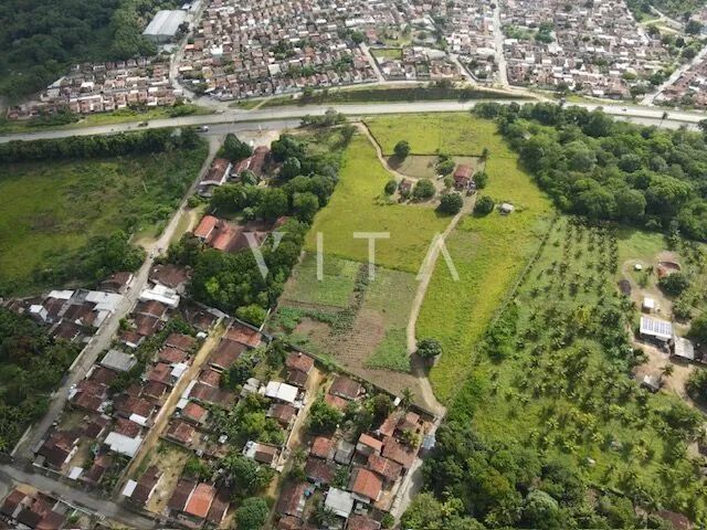 Área com 3 Hectares - Foto 3