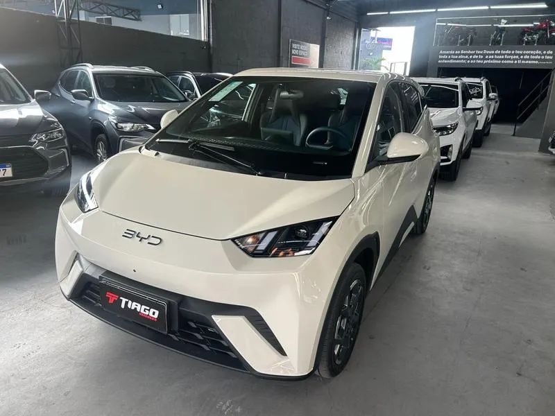 BYD Dolphin Mini (Elétrico) 2027
