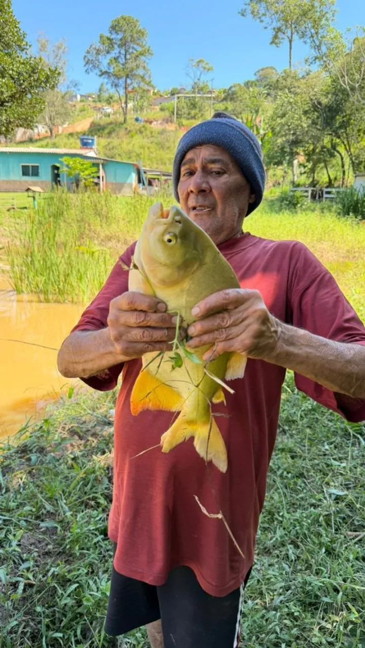 SITIO - VENDA OU ARRENDAMENTO - Foto 4
