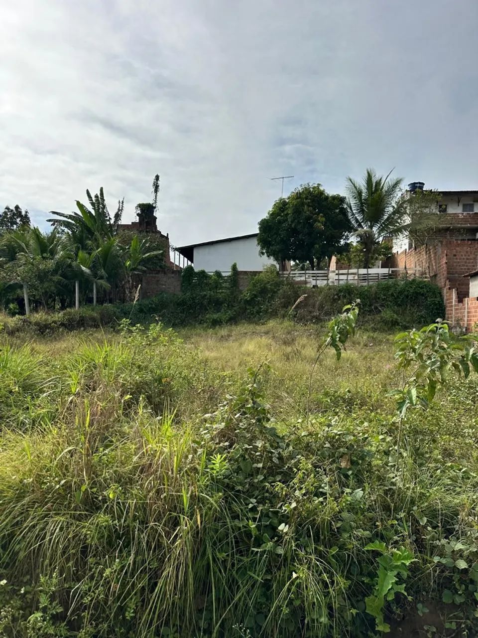 TERRENO 10x25 - Foto 4