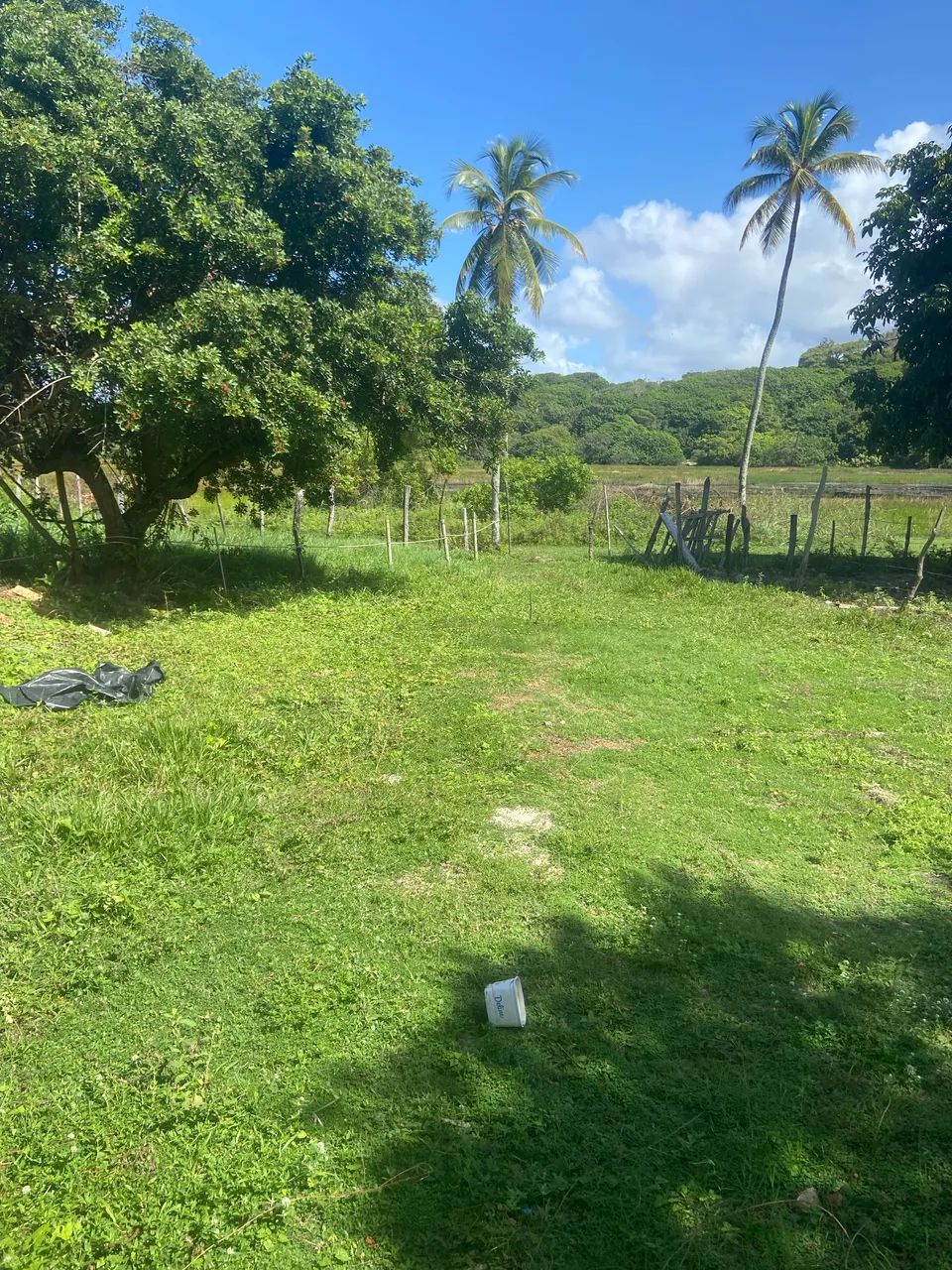 Venda de terreno em baixios  - Foto 4