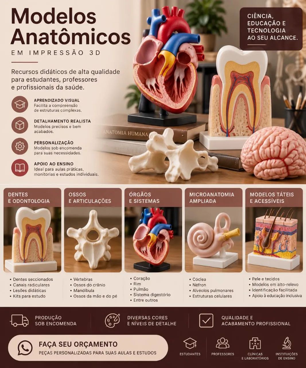Modelos anatômicos em 3D