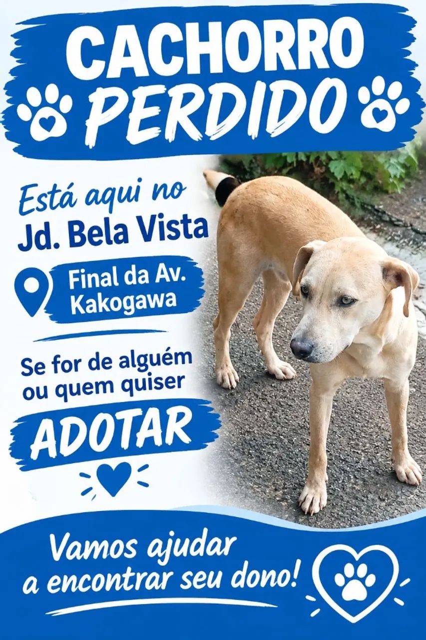 Animal perdido 
