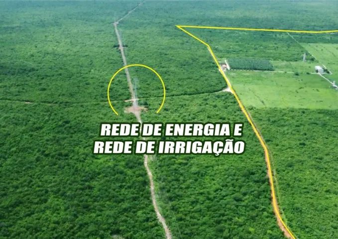 FAZENDA  SÃO FRANCISCO (CHAPADA DO APODI) - Foto 3