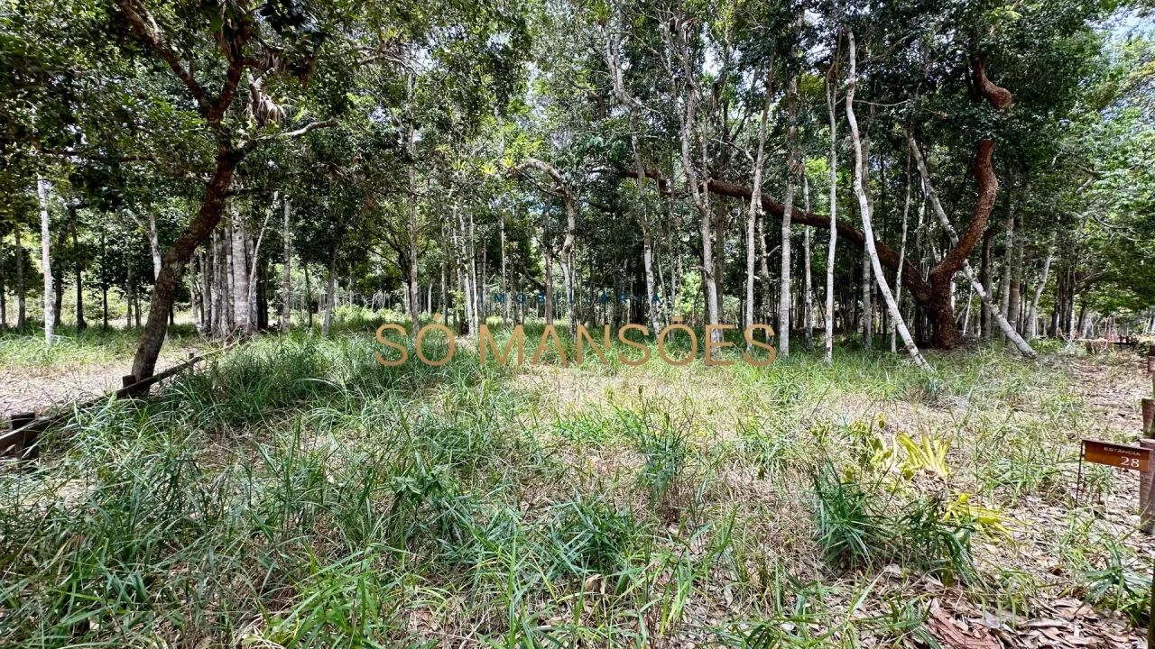 Exclusividade Só Mansões para Minas Gerais. - Foto 5