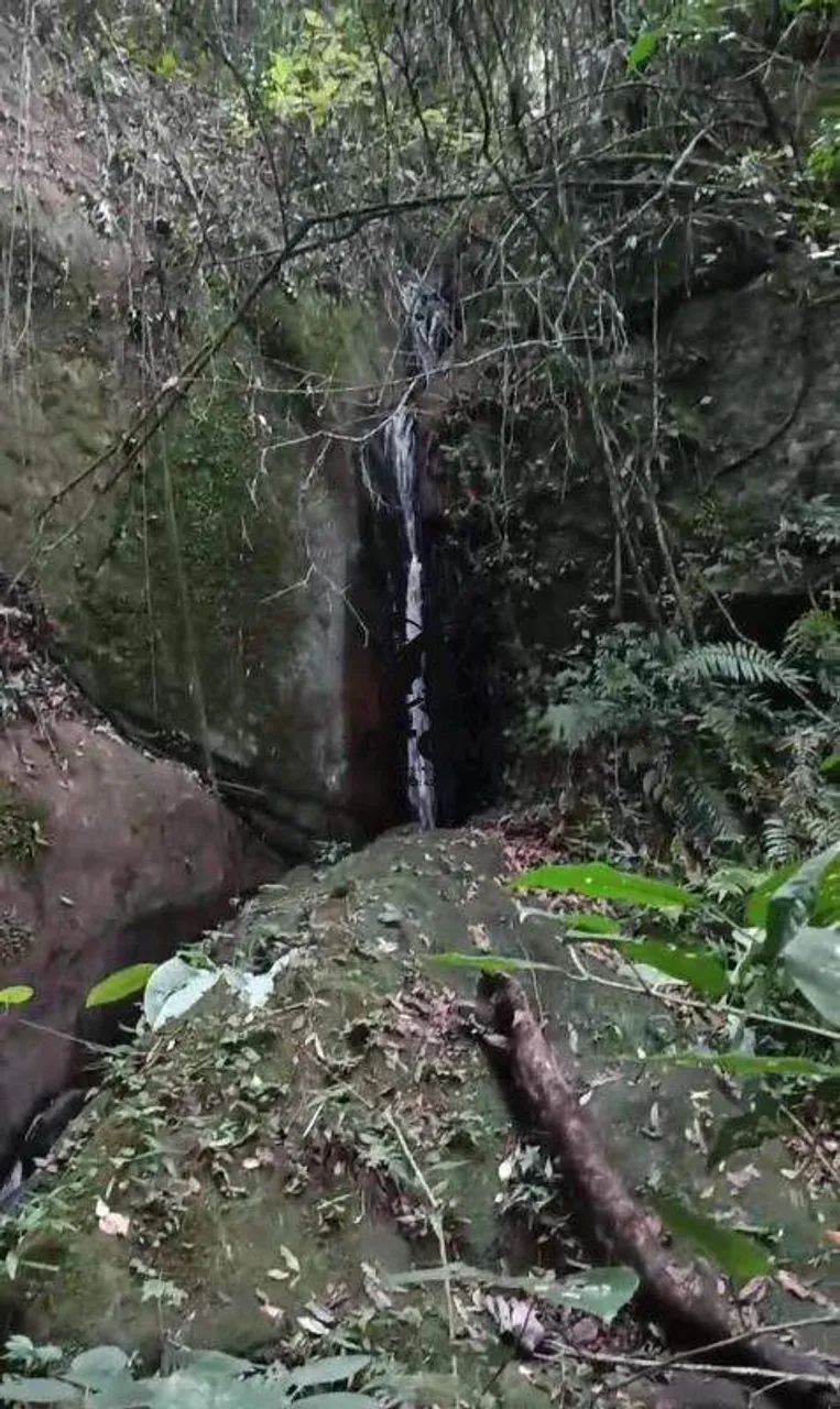 Sítio de 3,5 Alqueires em Natividade da Serra - Foto 5