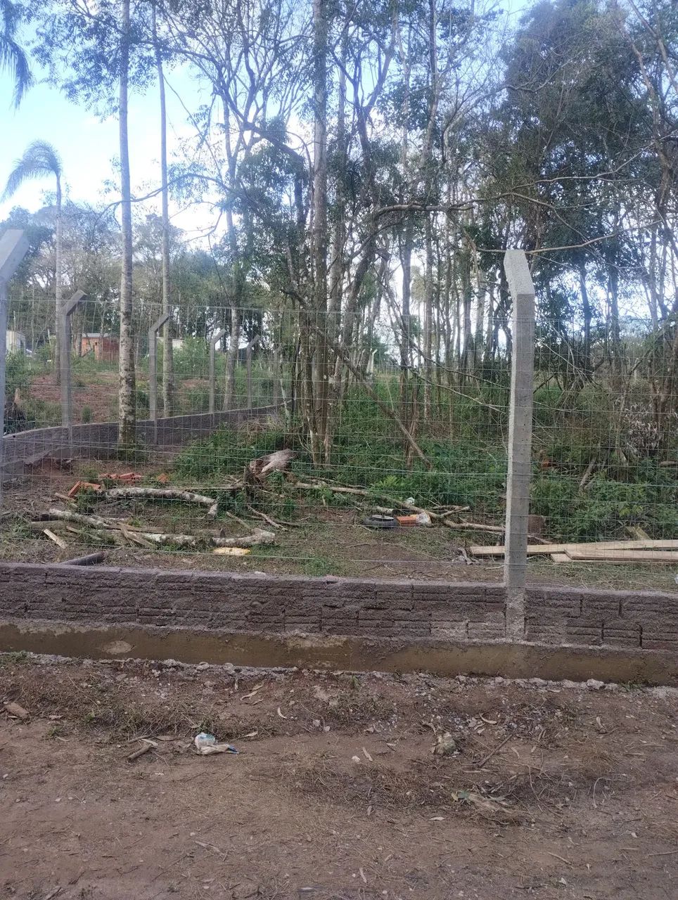 Terreno na Cascata  - Foto 3