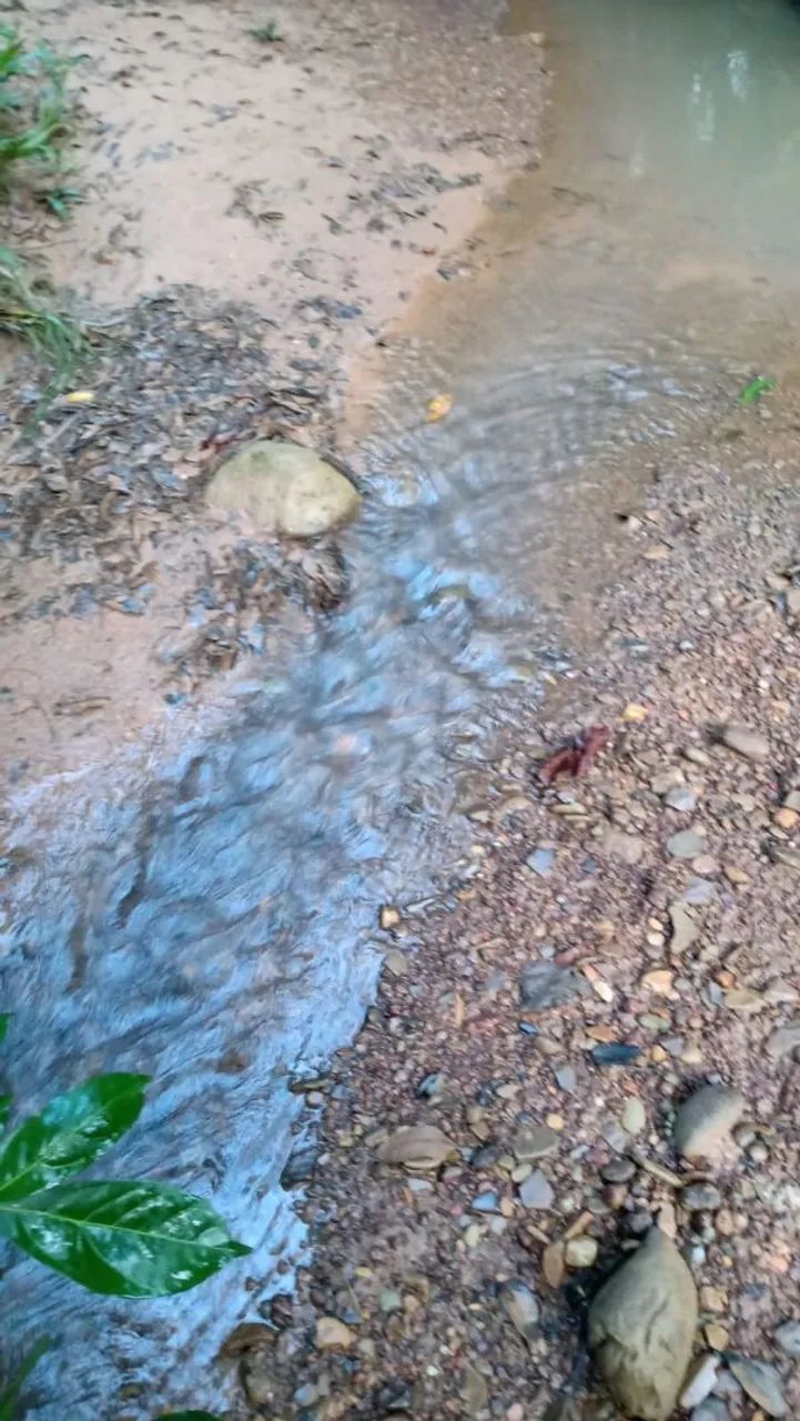 Chácaras a venda  - Foto 3