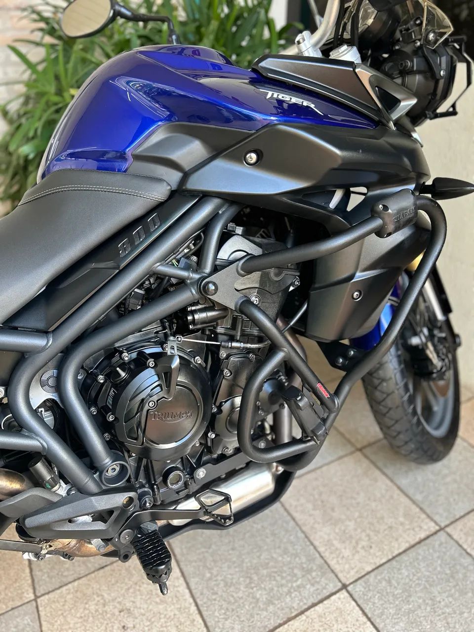 Tiger 800 - Foto 5