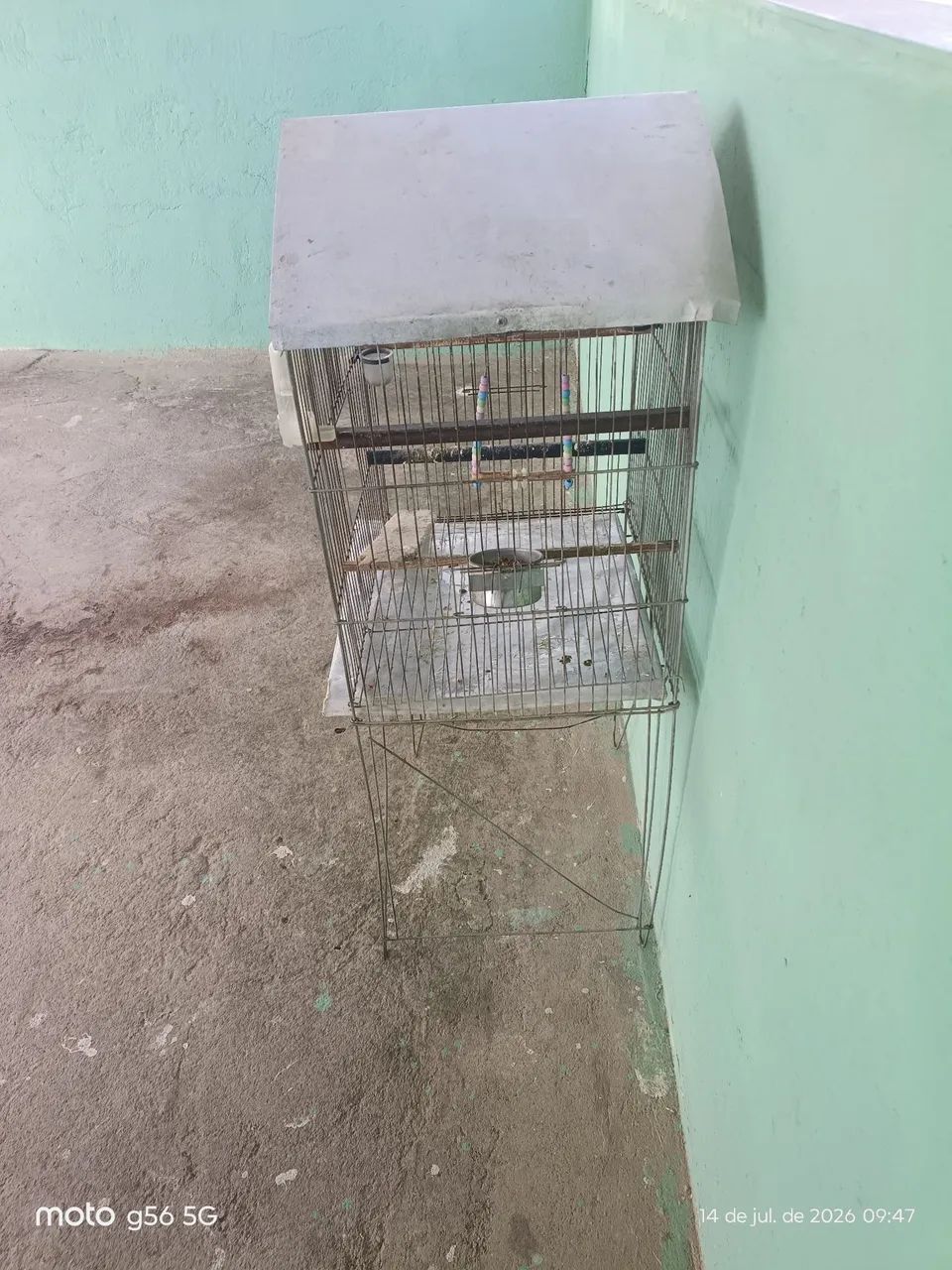 Gaiola de passarinho  - Foto 3