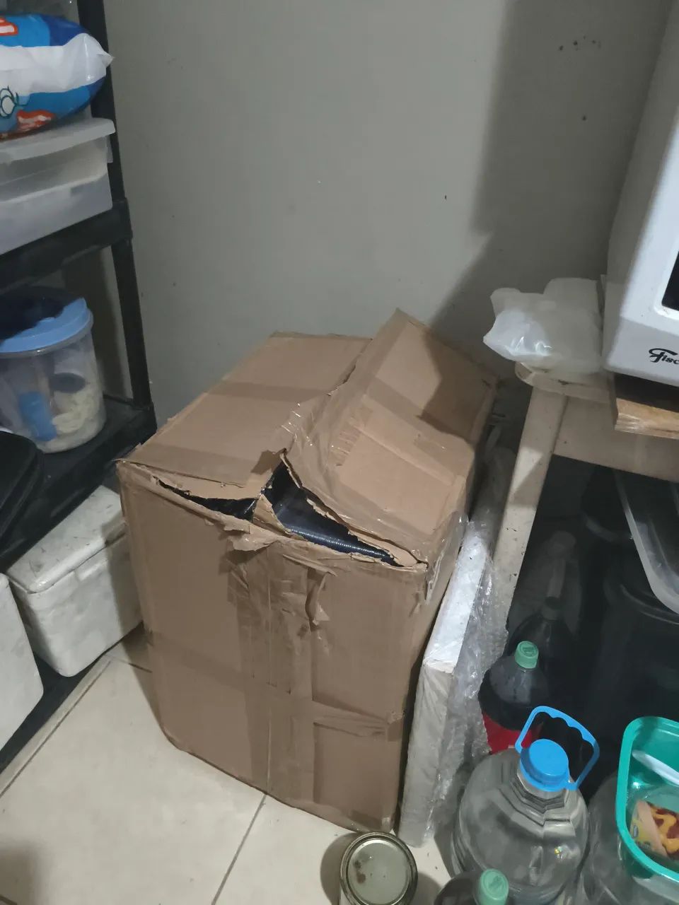 Caixas de ovo de codorna