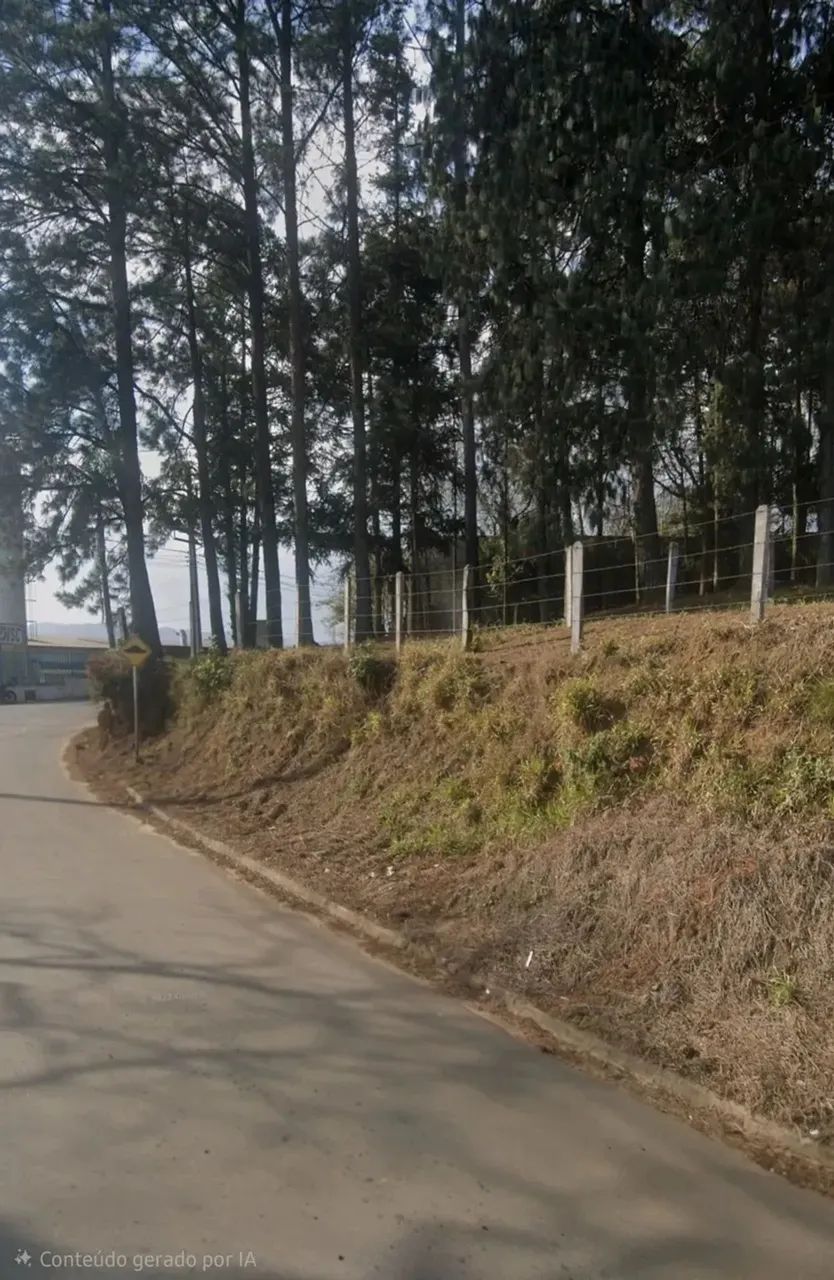 Lote/Terreno para venda possui 25500 metros quadrados em Rodeio - Extrema - Minas Gerais - Foto 7