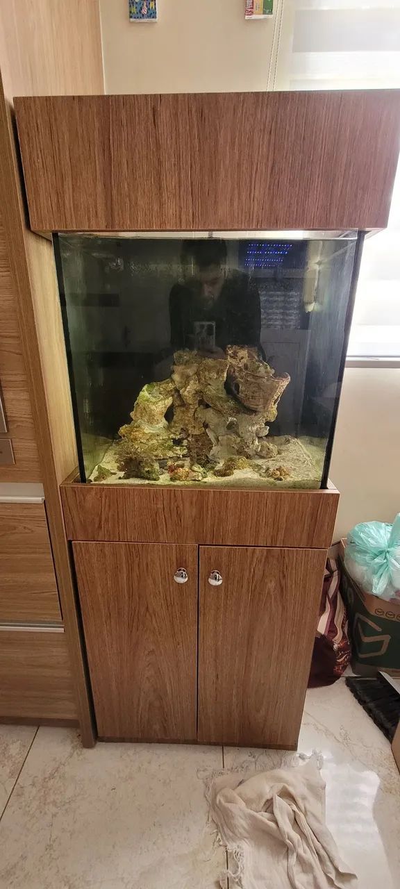 Aquário marinho completo 125l