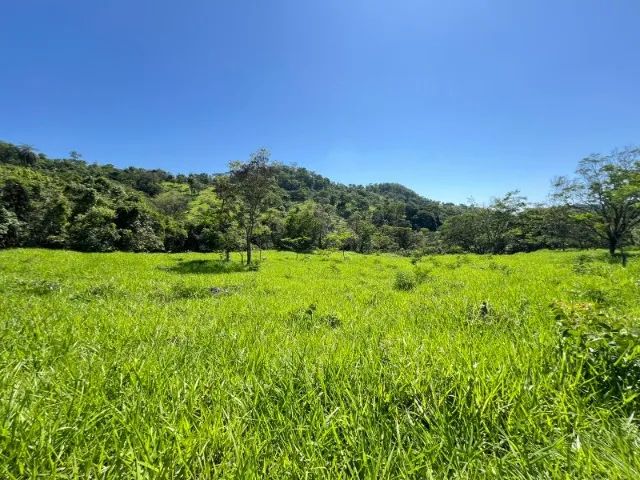 Fazendinhas Santa Fé / Florestal divisa com Pará de Minas - Foto 3