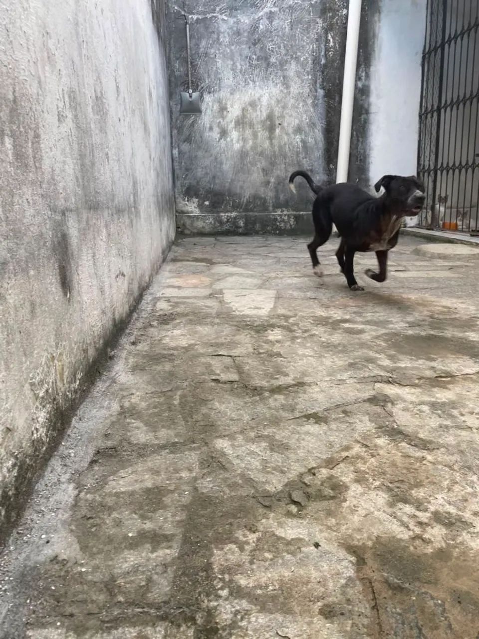 Doação  - Foto 2