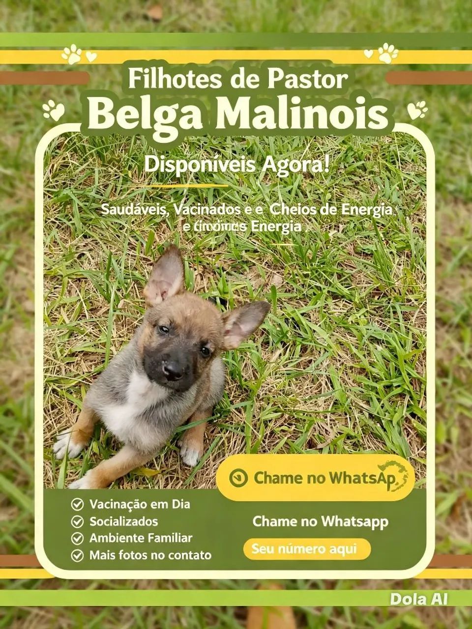 Pastor belga