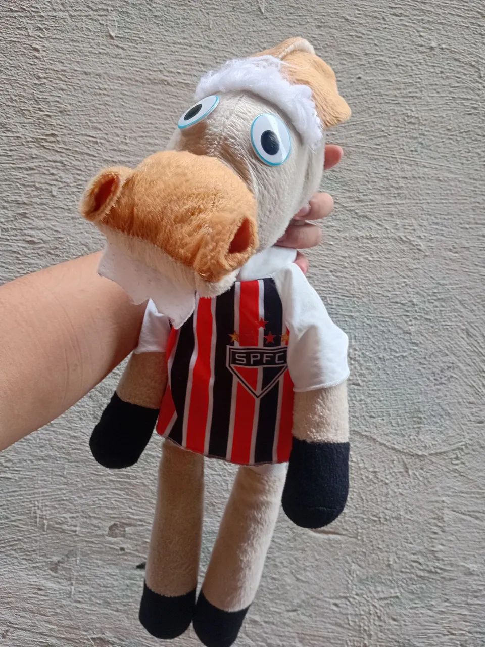 CAVALINHO SÃO PAULO  - Foto 5