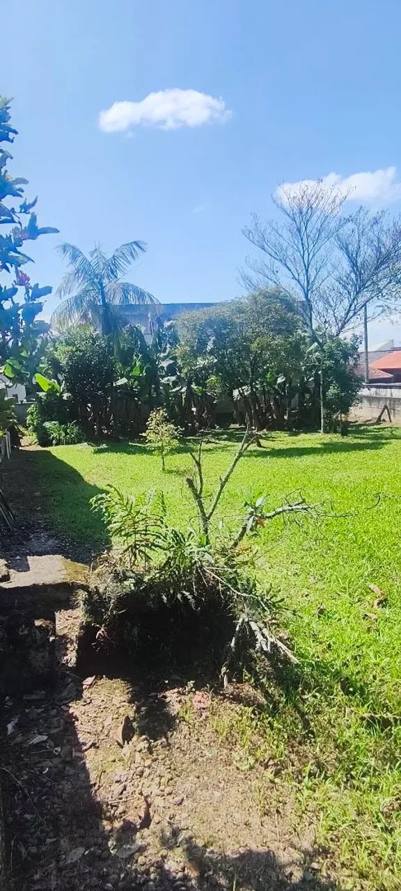 Terreno (Lote)