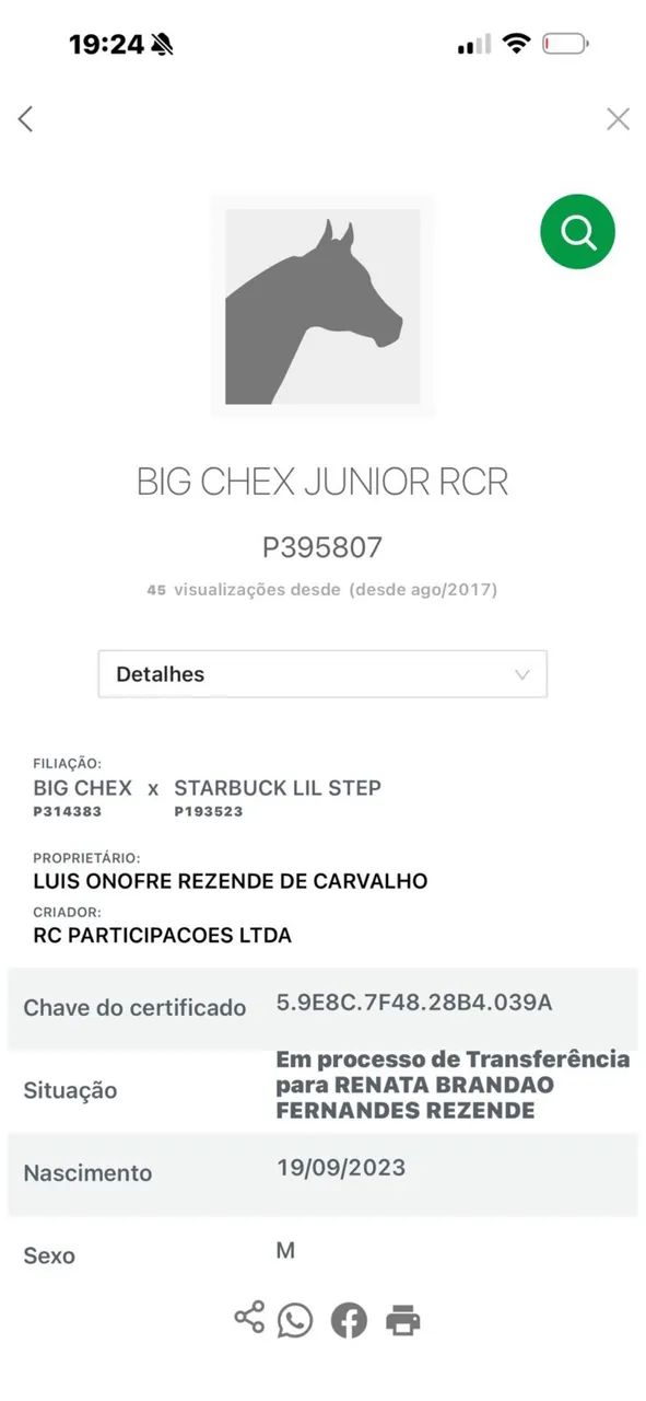 Cavalos - Foto 5