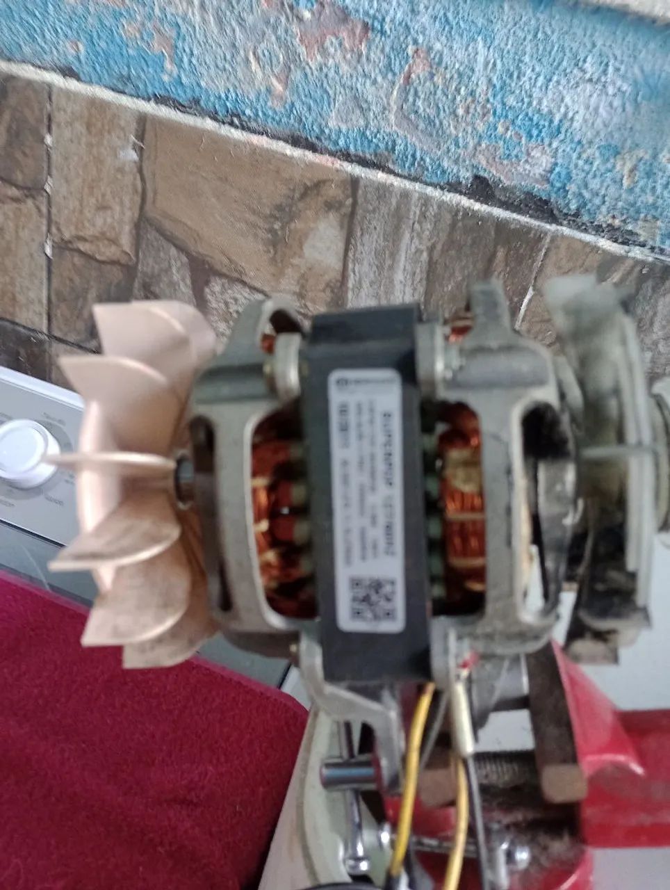 Motor de tanquinho 127v