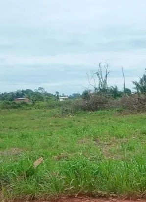 Terreno próx ao centro. Á 5 MN. - Foto 2