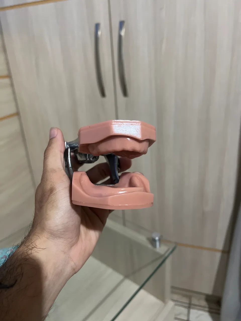 Manequim odontológico- Prótese desdentado 