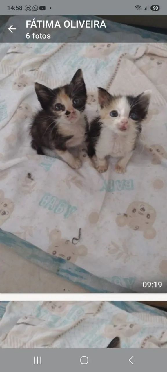 Lindos bbs