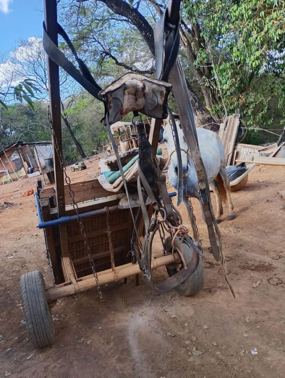 Vendo carroça arreada leia a escriçao   preço a combinar - Foto 3