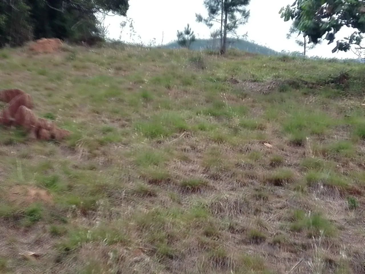 sitio 2.3 alqueires com muita água em Joanópolis sp - Foto 2