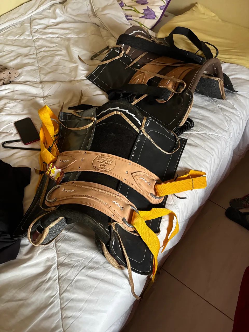 arreio para cavalos