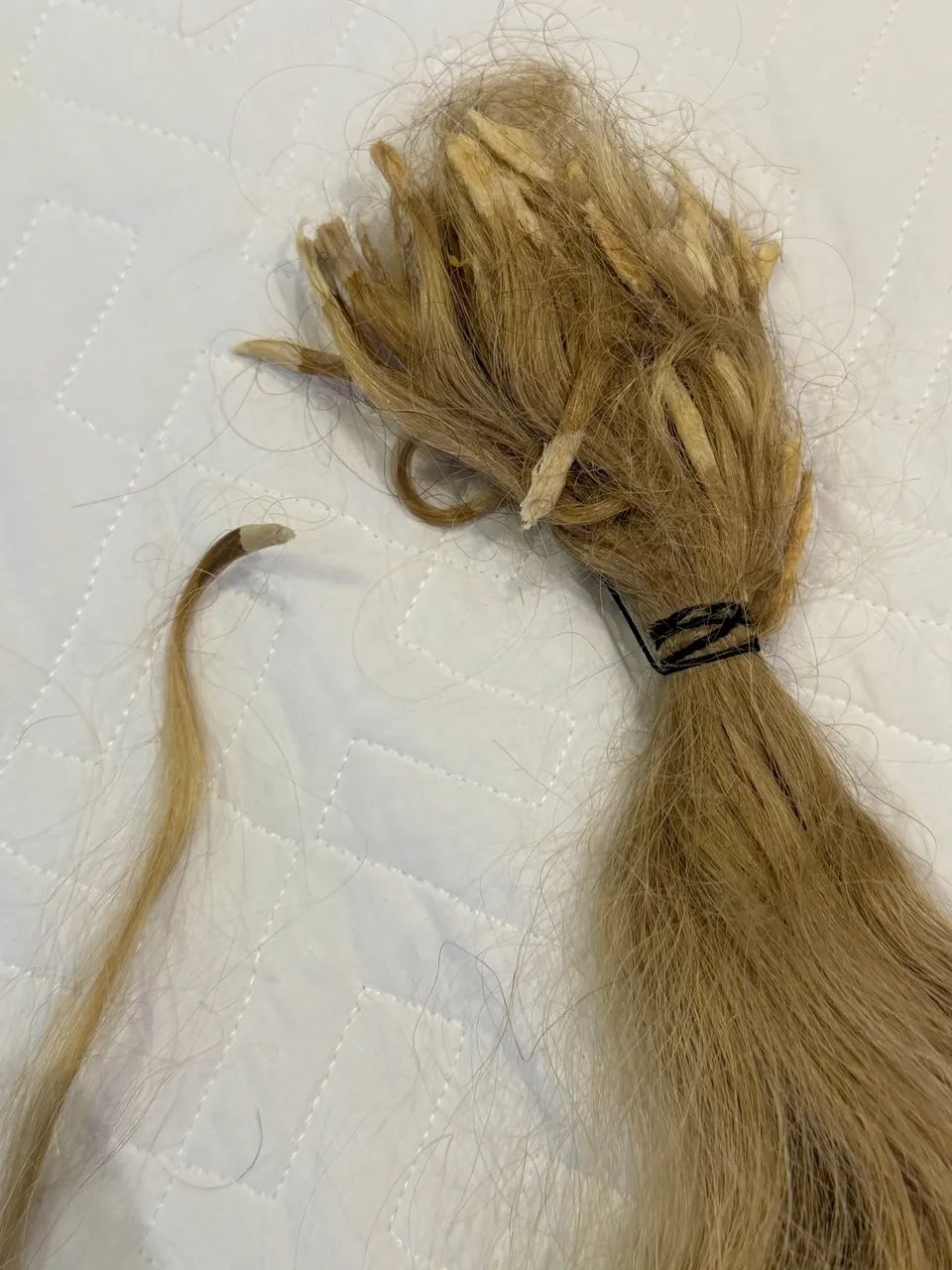 Cabelo loiro brasileiro castanho  