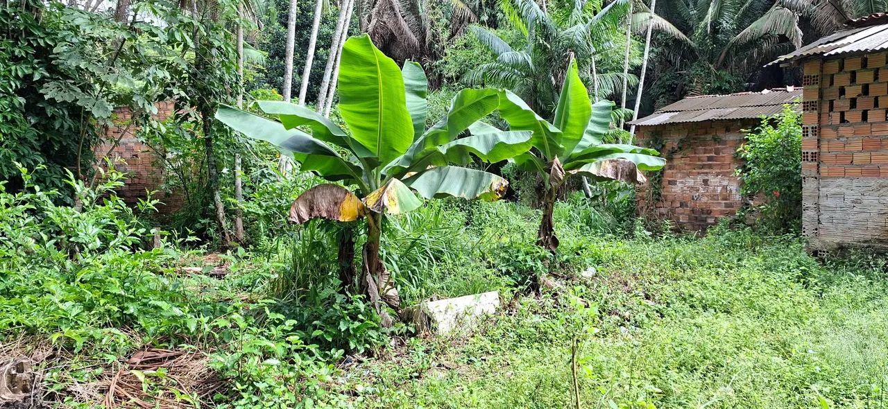 TERRENO NO MARACANÃ  - Foto 5