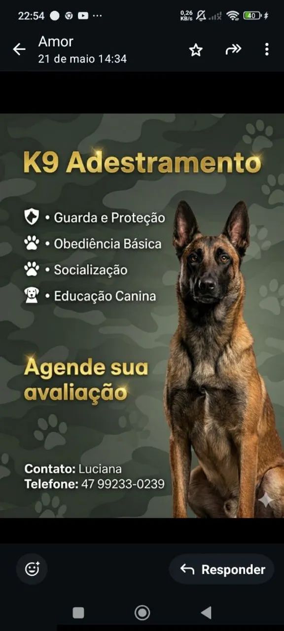 Adestramento k9