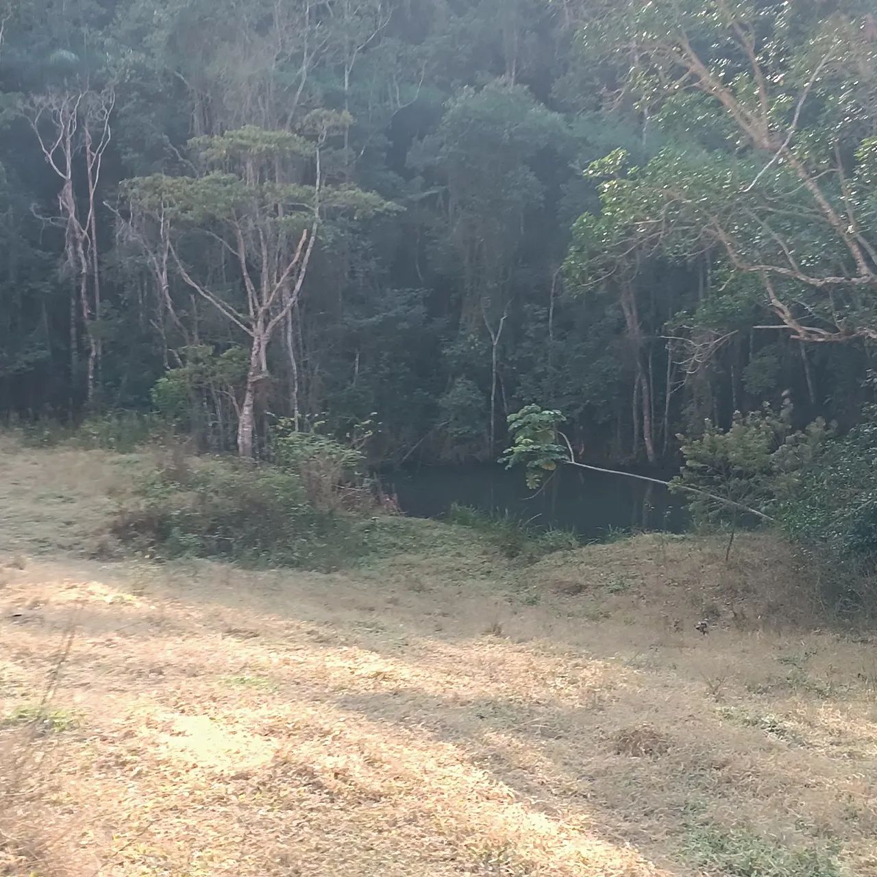 VENDO SITIO 3 ALQUEIRES EM NATIVIDADE DA SERRA ( 4291 ) - Foto 10