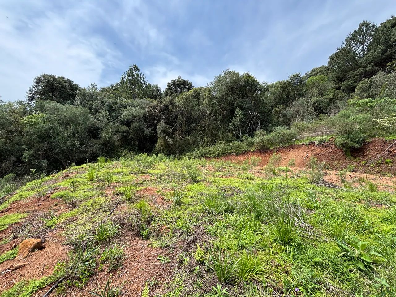 Vendo sítio 12.100m2 - Foto 4