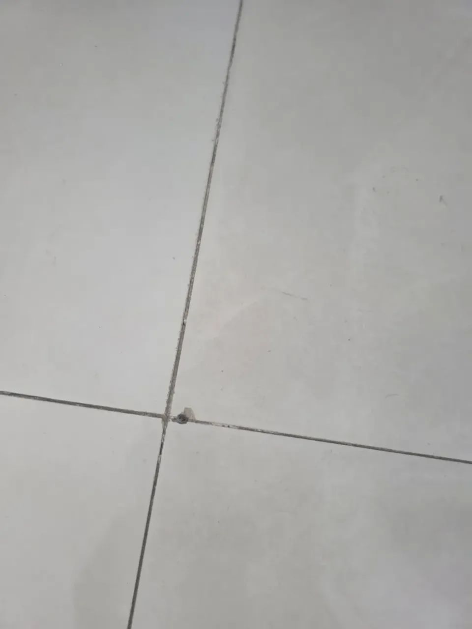 SALA COMERCIAL PARA ALUGAR | SÃO LUÍS OFFICES - Foto 5