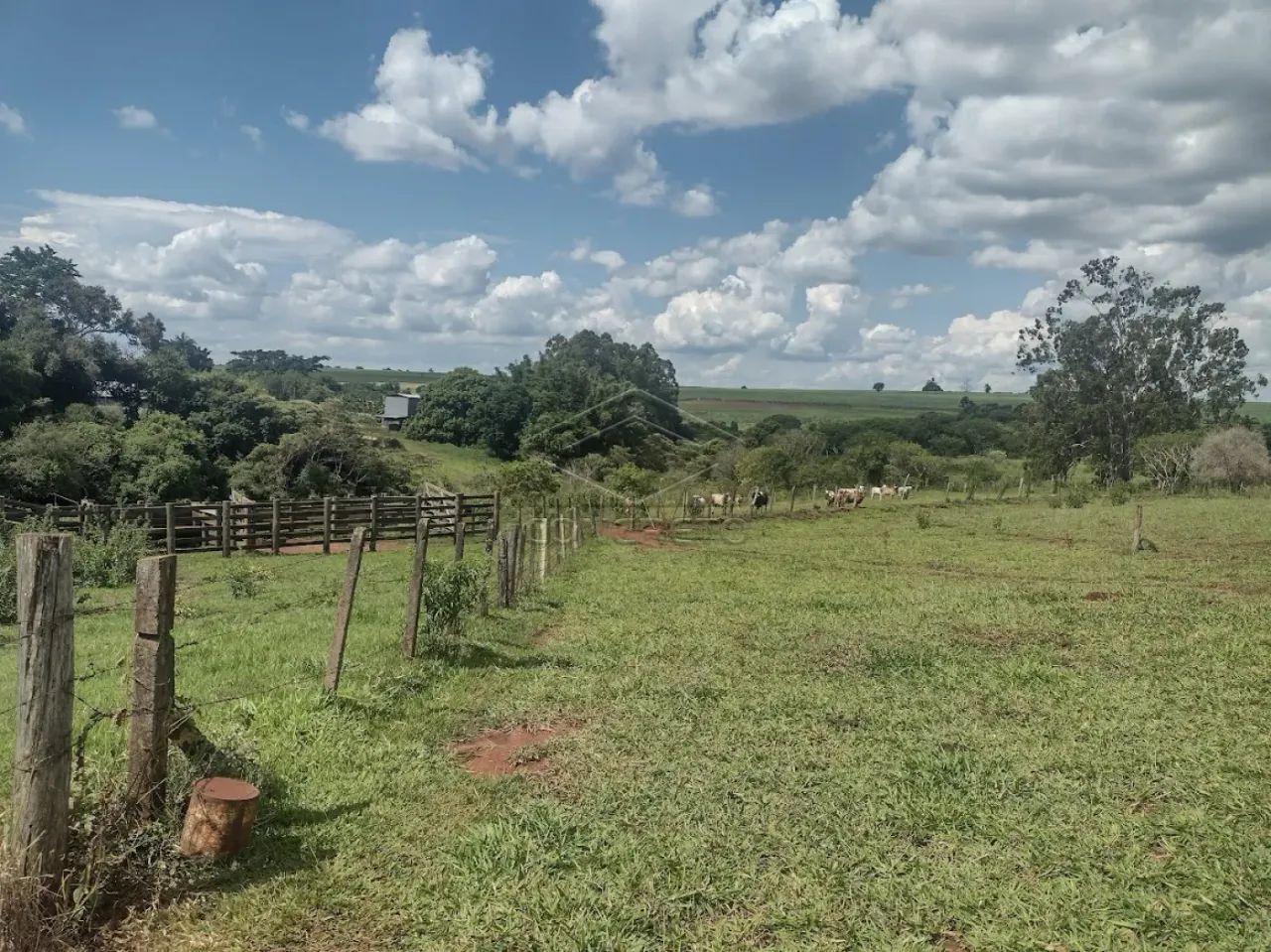 Rural Sitio em Dois Córregos - Foto 4