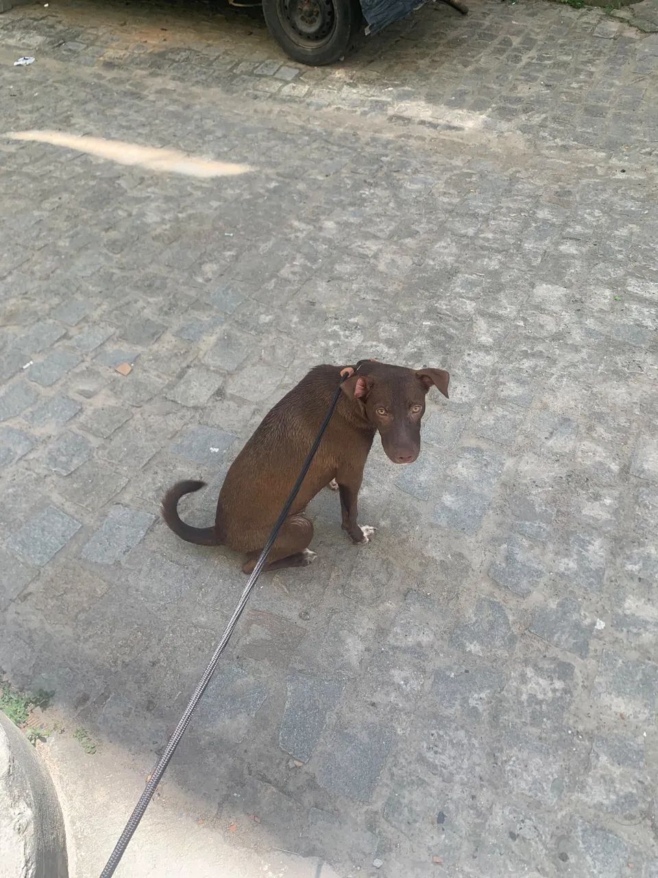 Doação  - Foto 2