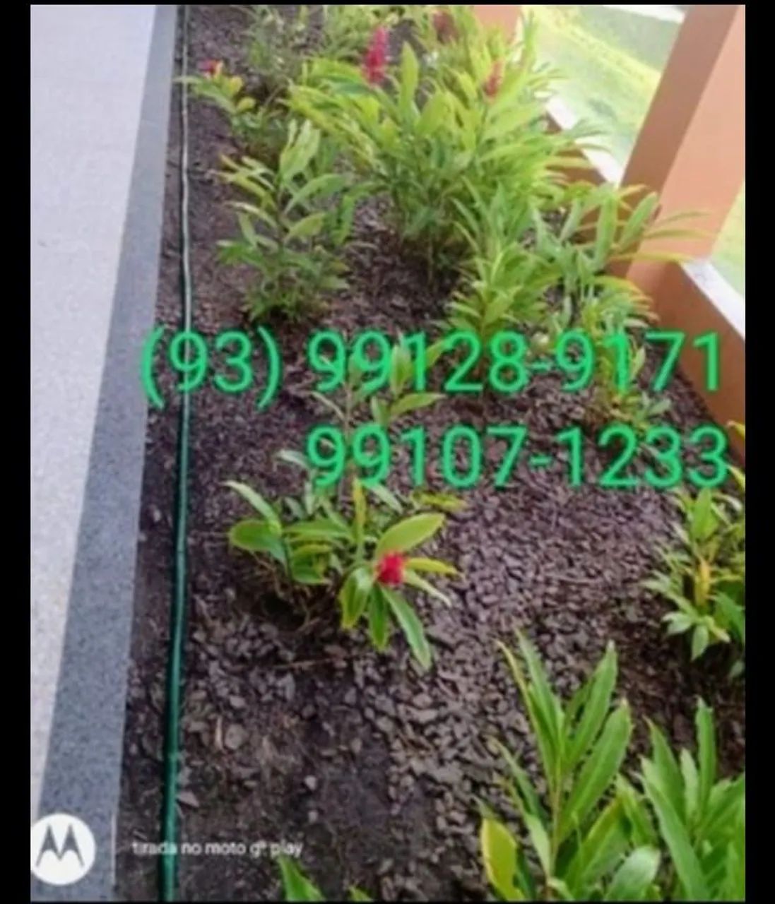 Jardineiro e Roçador  - Foto 4