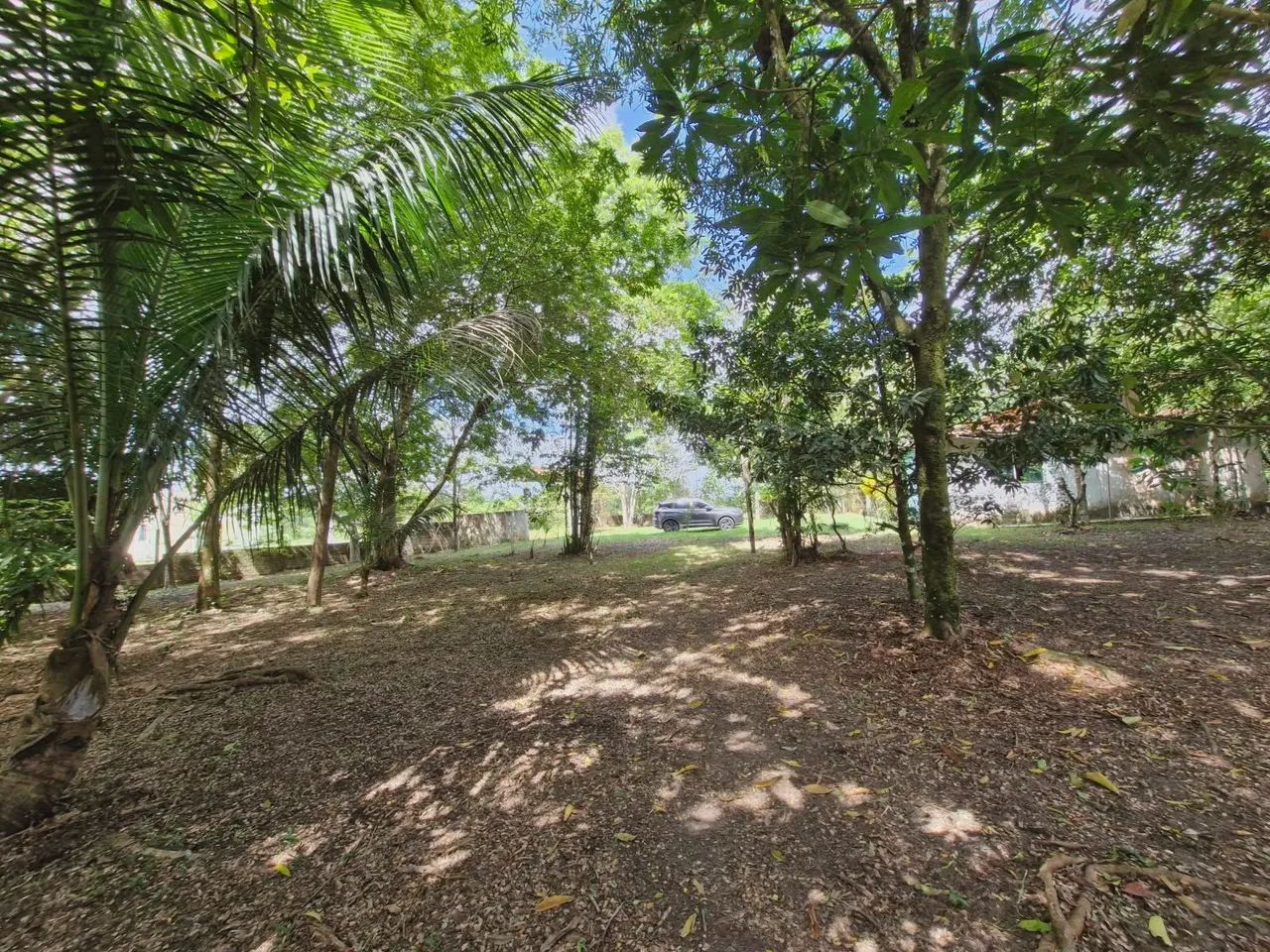 Vendo Sítio no Ramal Ninive ( alça Viária) com Igarape  - Foto 2
