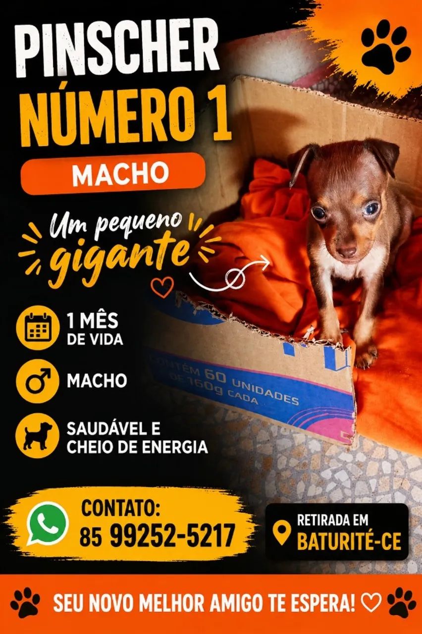pinscher numero 1