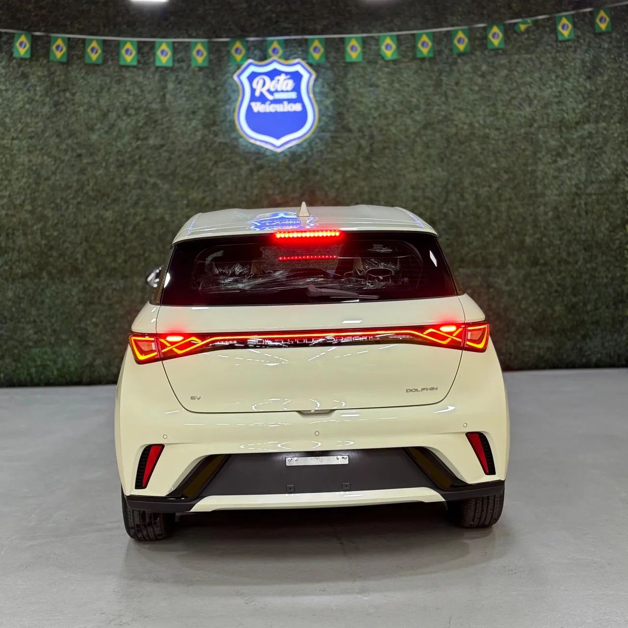 BYD Dolphin GS (Elétrico) 2027 - Foto 4