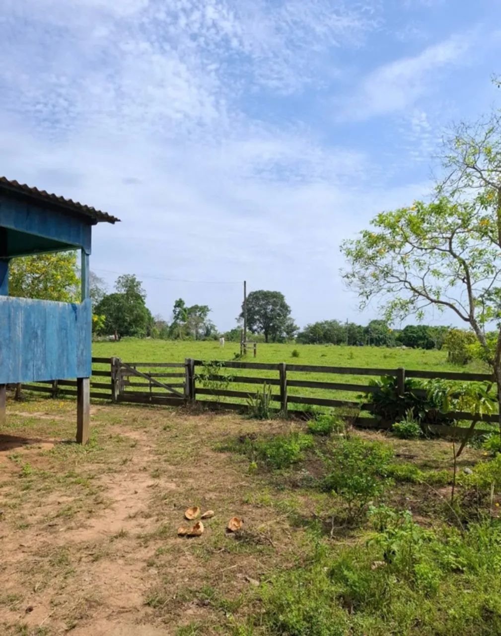 Colônia a venda  - Foto 4
