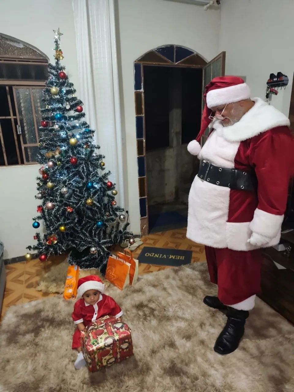 Papai Noel profissional 